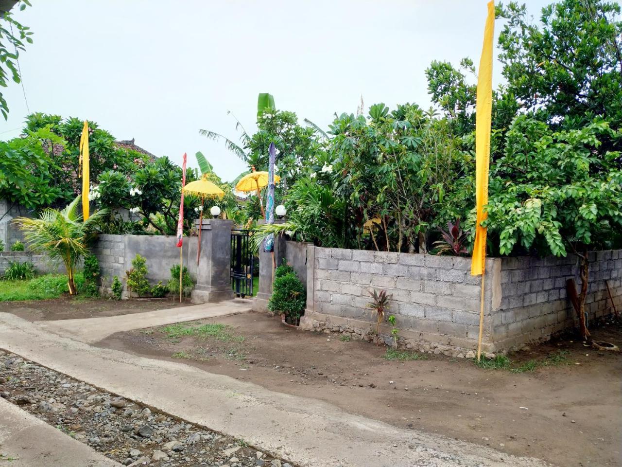 Angga Guest House Pemuteran Exteriér fotografie