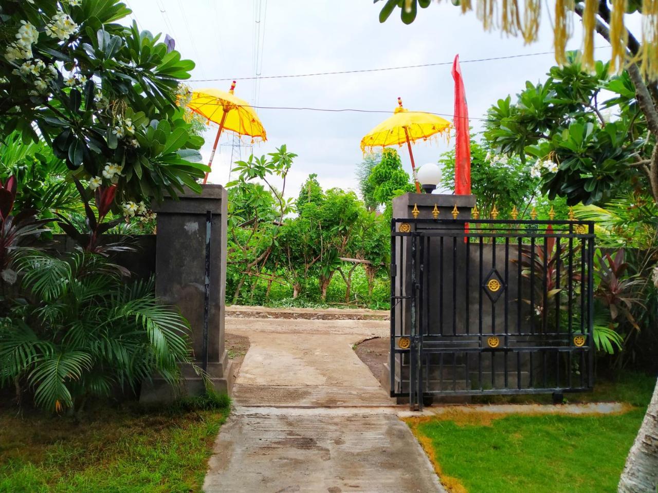 Angga Guest House Pemuteran Exteriér fotografie