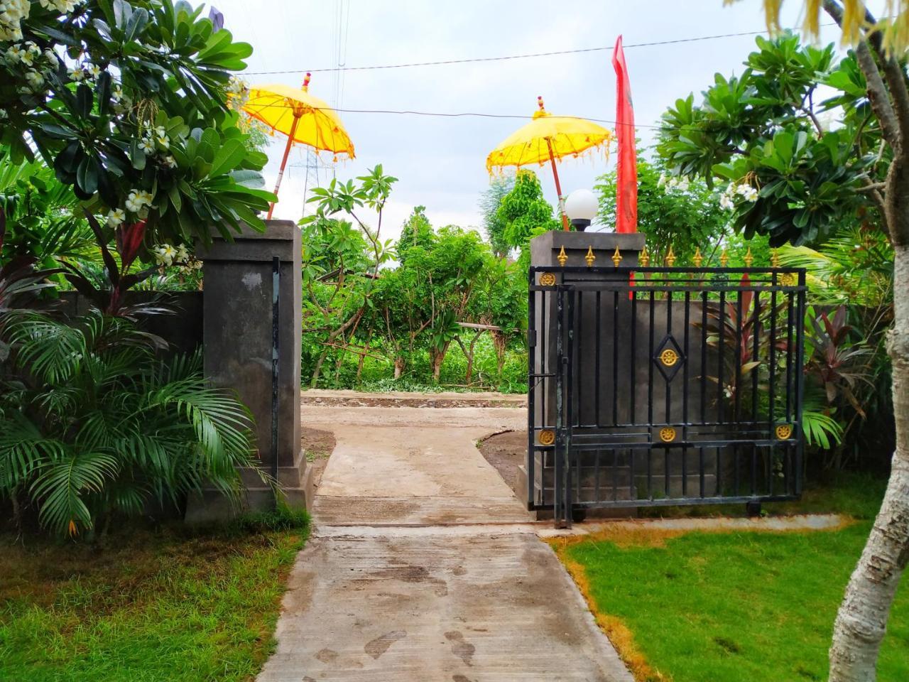 Angga Guest House Pemuteran Exteriér fotografie